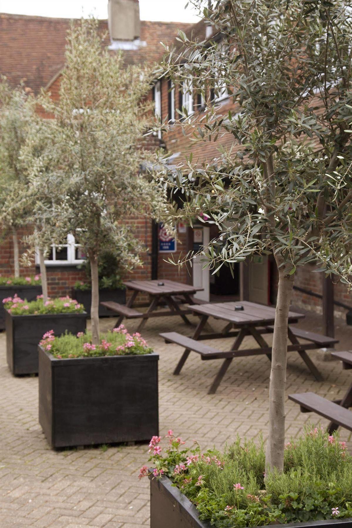 The Dog & Bear Hotel Lenham Extérieur photo